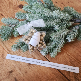 Christmas star -  Santa says your gift will be a little late this year - grandparents