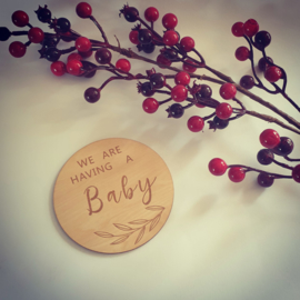 Houten bordje - ''we are having a baby''