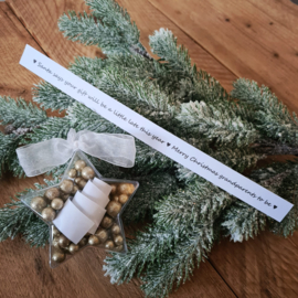 Christmas star -  Santa says your gift will be a little late this year - grandparents
