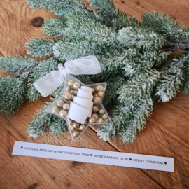 Christmas star - A special message in te christmas tree
