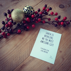Kerst kraskaart - ''Santa is bringing me the most awesome gift'' - big brother