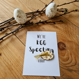 Paaskaart - We're egg specting