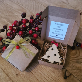 Het allermooiste cadeau - Wij worden papa en mama