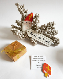 Het grote boek van sinterklaas - gepersonaliseerd