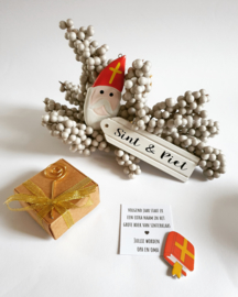 Het grote boek van sinterklaas - Jullie worden opa en oma