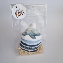 Piemelhoedjes - Blauw Oceaan