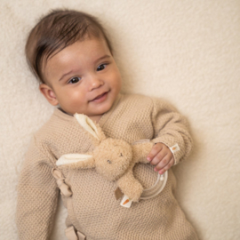 Rammelaar konijn - Baby bunny - Little dutch
