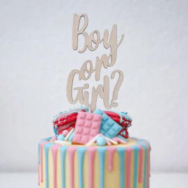 Houten taarttopper - Boy or girl