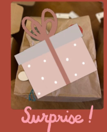 Surprise Bags