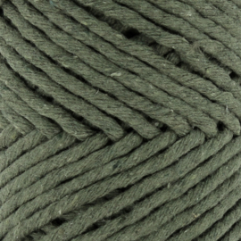 Spesso Chunky Cotton Aspen