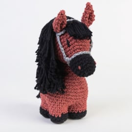 DIY  Pony Sienna