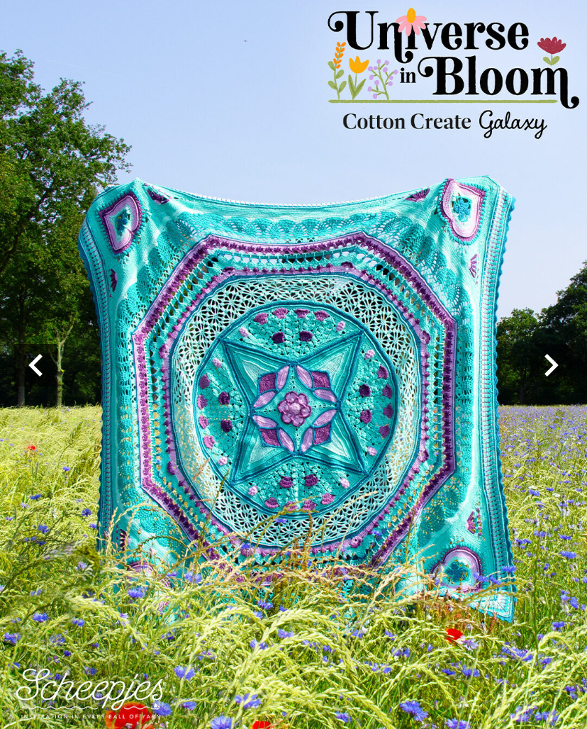 Universe in Bloom CAL25 - Galaxy