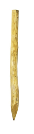Robinia paal rond ø 16 - 18 cm
