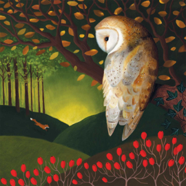 The owl's dream 33 x 33cm
