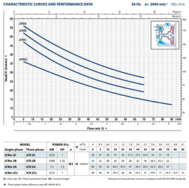 Pedrollo JCRm/2C (10m) - 230V