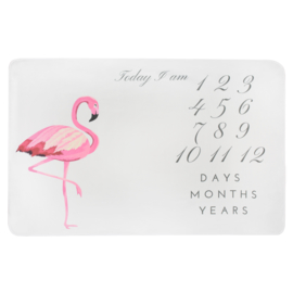 Milestone Blanket Flamingo