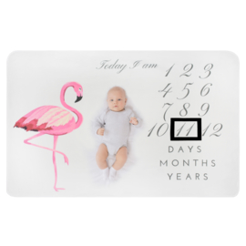 Milestone Blanket Flamingo