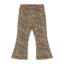Baby Flair Pants Leopard