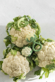 Oli & Carol | Cauliflower | rattle toy