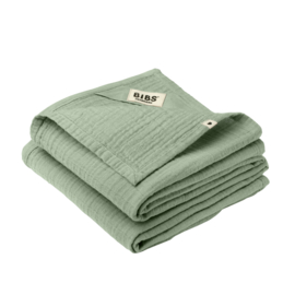 BIBS | Cuddle cloth Sage 2-pack