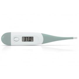 Alecto | Digitale thermometer | Groen