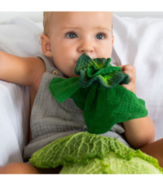 Oli & Carol |Kendall the Kale | mini doudou | teether