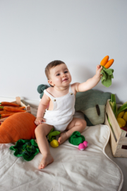 Oli & Carol | Cathy the carrot | mini doudou | teether