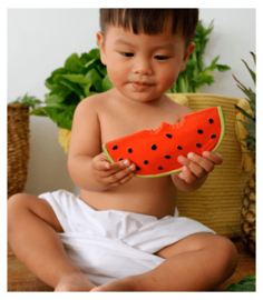 Oli & Carol | Wally the watermelon | teether (bath-)toy