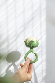 Oli & Carol | Cauliflower | rattle toy