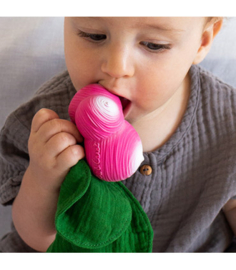 Oli & Carol | Ramona the radish | mini doudou | teether