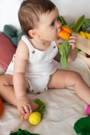 Oli & Carol | Cathy the carrot | mini doudou | teether