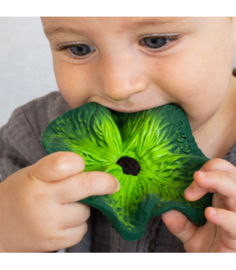 Oli & Carol |Kendall the Kale | mini doudou | teether