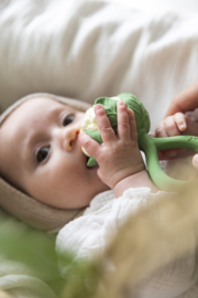 Oli & Carol | Cauliflower | rattle toy