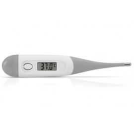 Alecto | Digitale thermometer | Grijs