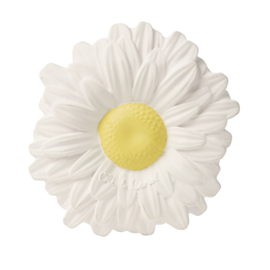 Oli & Carol | Margarita the daisy | teether (bath-)toy