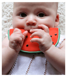 Oli & Carol | Wally the watermelon | teether (bath-)toy