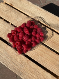 Framboos per doos!