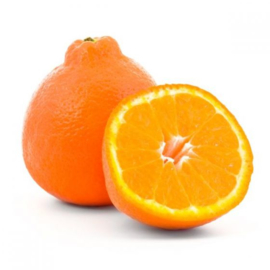 Minneola per 5 stuks!