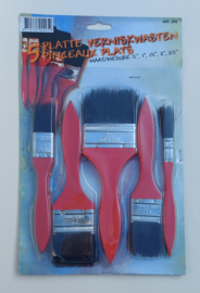 Set van 5 basic platte kwasten Varkenshaar