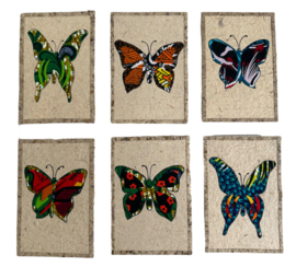 Wenskaarten Butterfly Colour set van 6 kaarten
