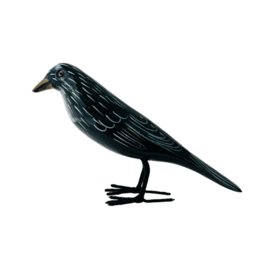 Crow M