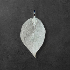 Hanger Eucalyptus Blad Silver - zonder ketting