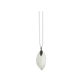 Ketting Eucalyptus Blad Silver