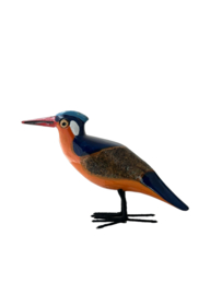 Malachite Kingfisher L