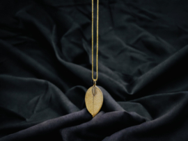 Ketting Eucalyptus Blad Gold