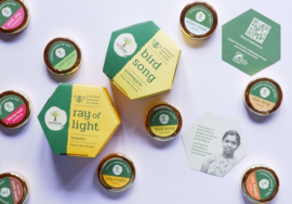 Last Forest Beeswax  Lip Balm Ray of Light / Lemon