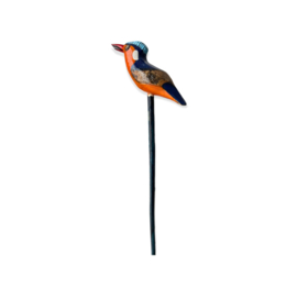 The Malachite Kingfisher