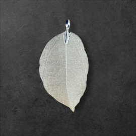 Hanger Eucalyptus Blad Silver - zonder ketting
