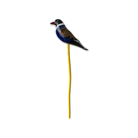 Wisebird