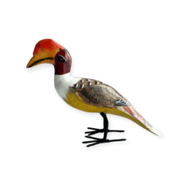 Hornbill M